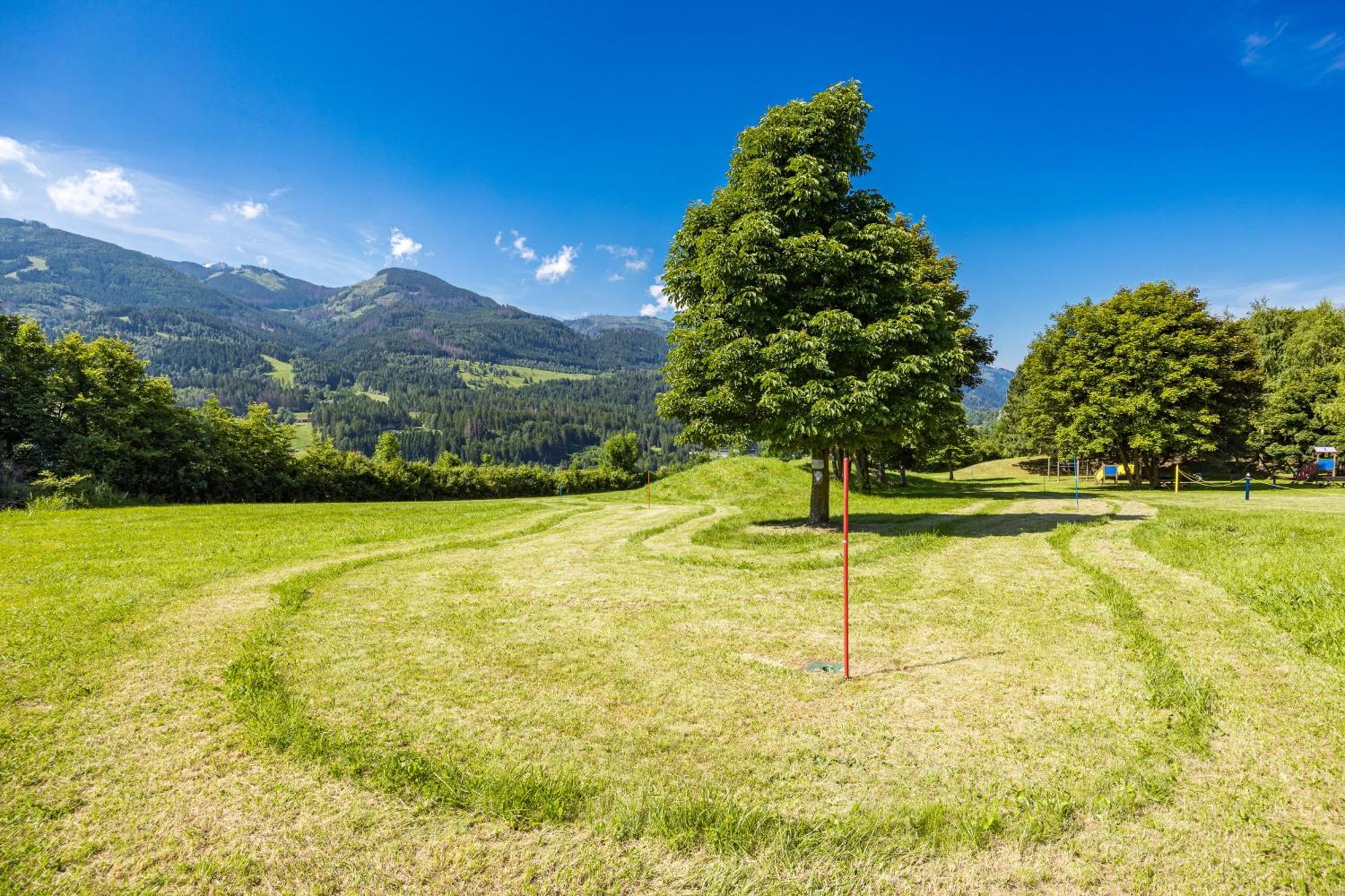 Des Alpes